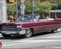 TSR Watermark - 0576